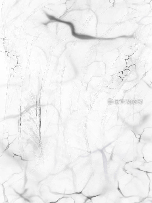 White Marble Texture Vector Background, useful to create surface effect for your design products such as background of greeting cards, architectural and decorative patterns. Trendy template inspiration for your design.